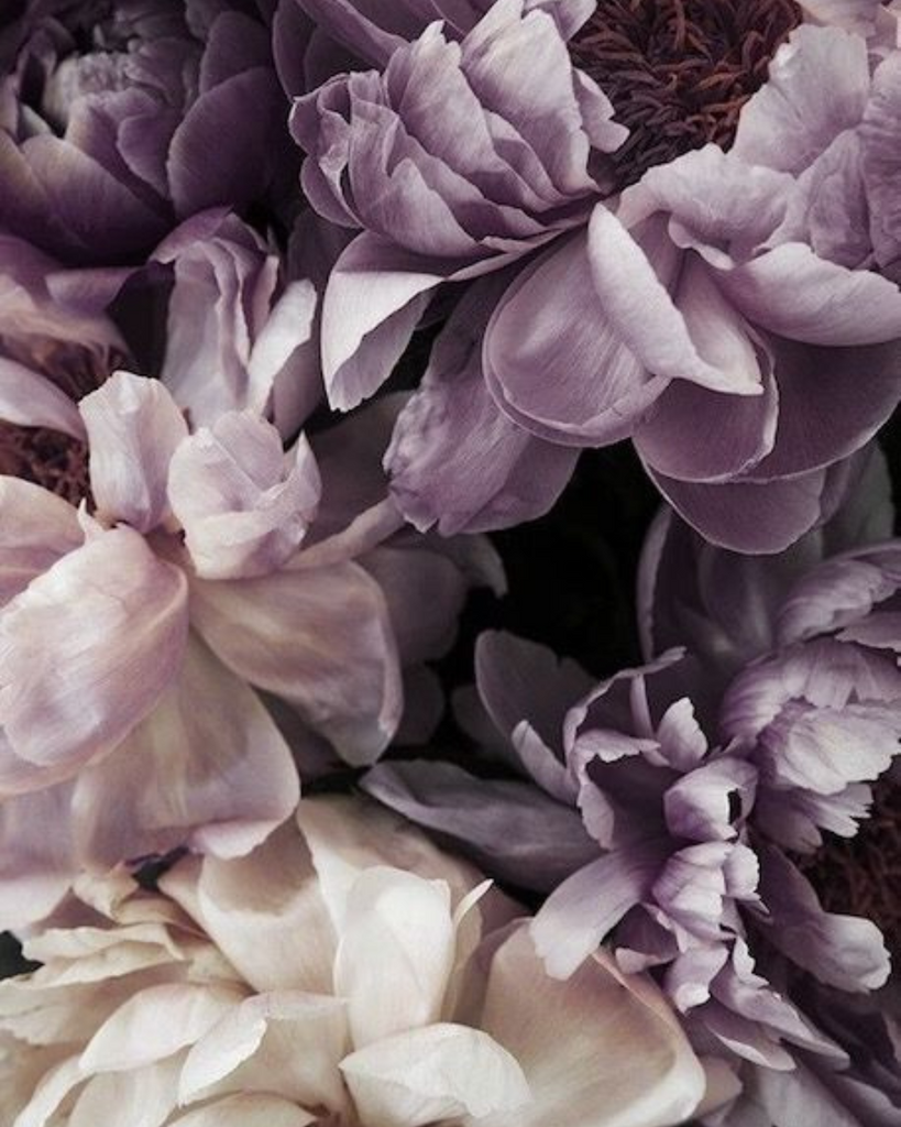 From Frenzy to Balance: Embracing Your Inner Serene