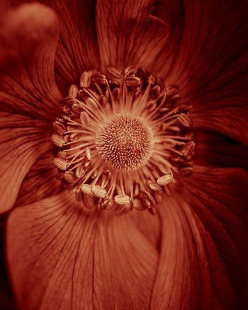 PERIMENOPAUSAL? NOW WHAT???