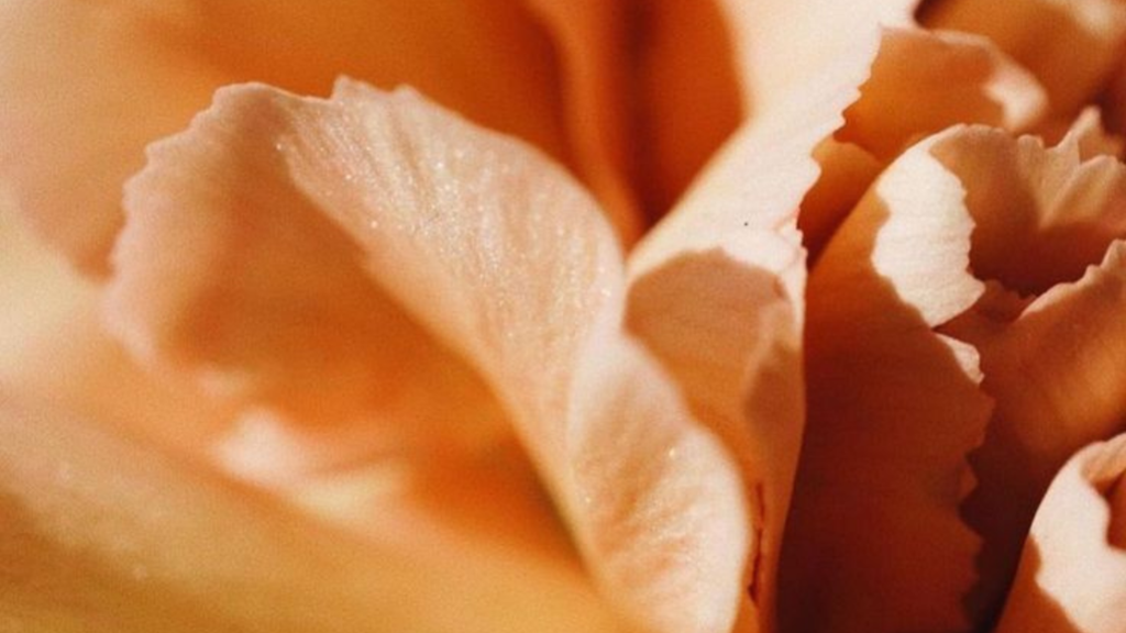 PCOS symptoms you shouldn’t ignore – and what you can do about them