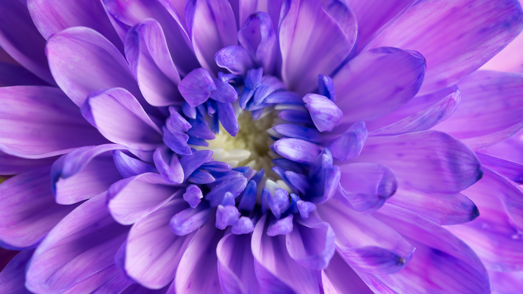 Your hormones aren’t broken – they’re just asking for help